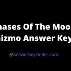 Phases of the moon gizmo answers