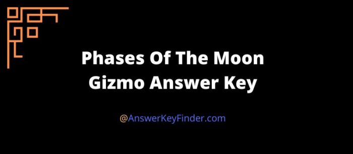 Phases of the moon gizmo answers