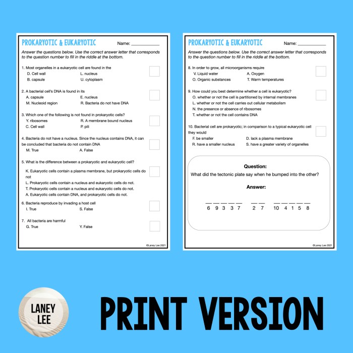 Prokaryotic and eukaryotic pogil answers