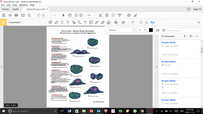 Cells alive mitosis phase worksheet