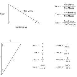 Graphs sine cosine trigonometry sin cos tan tangent functions trig graphing values remember exact math points degrees trigonometric chart basic