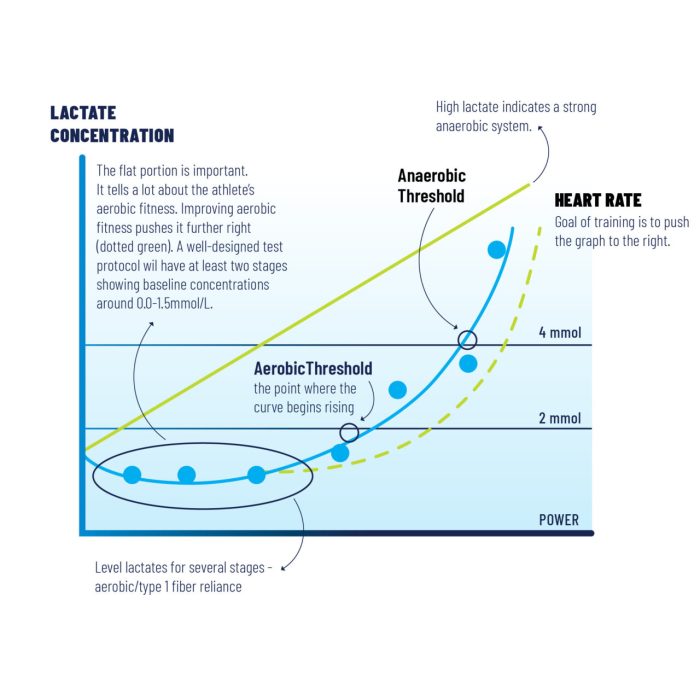 Lactate threshold vs vo2 max