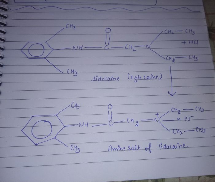 Draw the ammonium salt formed in each reaction.