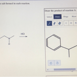 Draw the ammonium salt formed in each reaction.