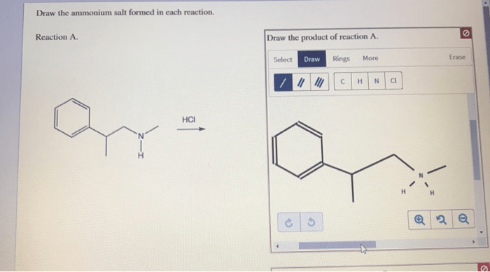 Draw the ammonium salt formed in each reaction.