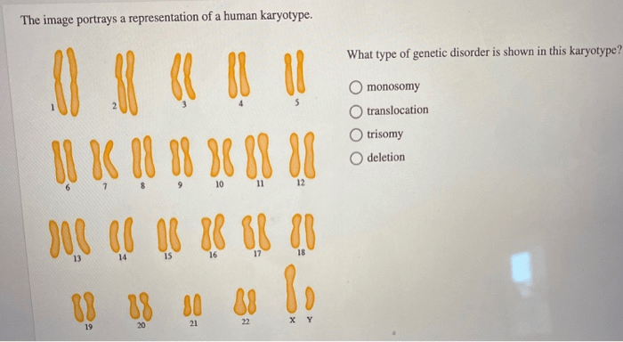 The image portrays a representation of a human karyotype