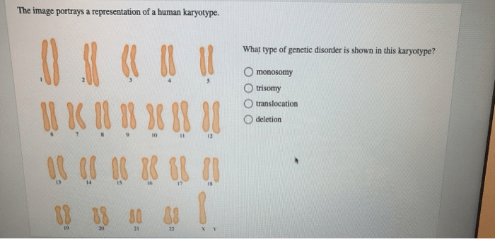 The image portrays a representation of a human karyotype